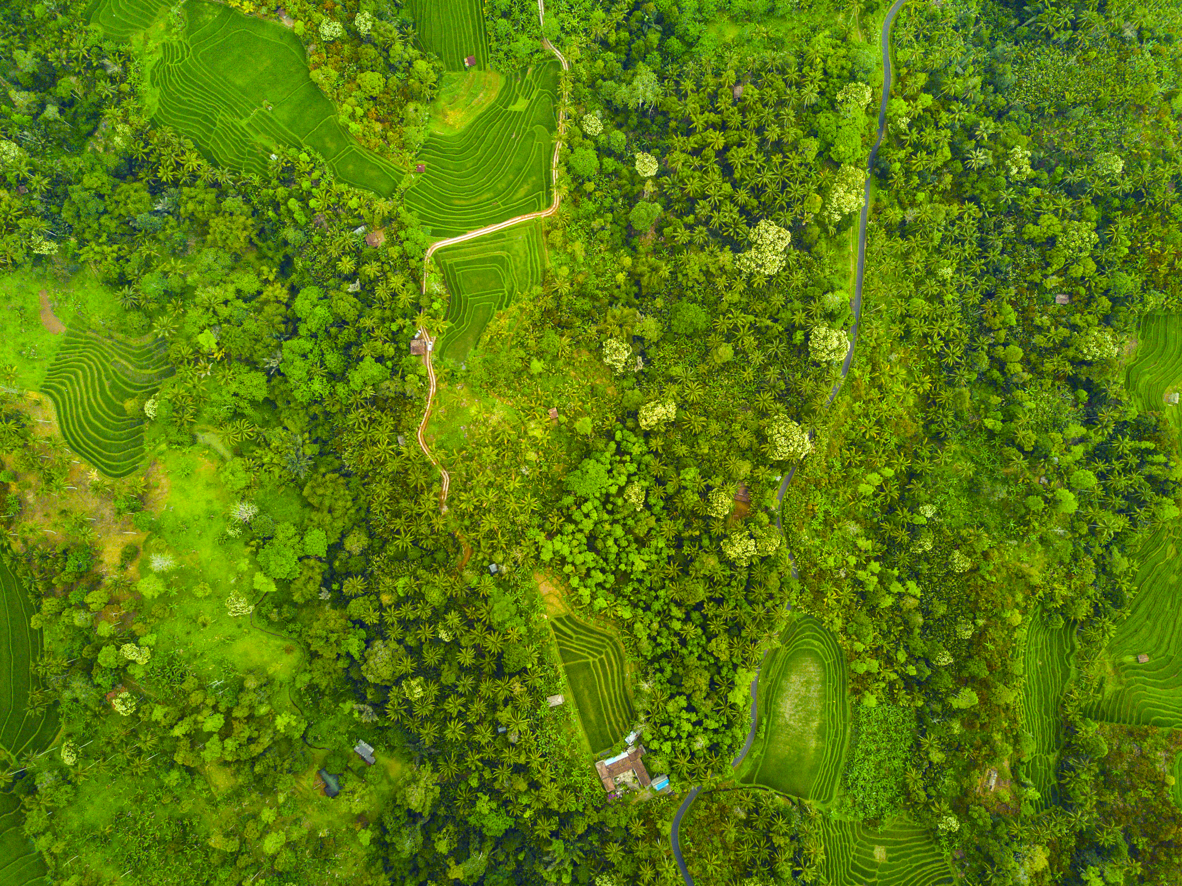 FLTabanan23  |  Indo Investments